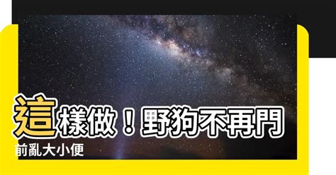 防止狗大便|誰知道讓狗不再到我家門口大便的方法？？？